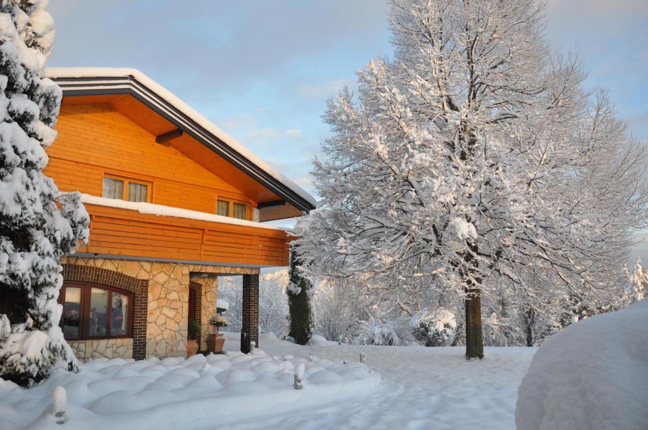 Guesthouse Dolinsek Sevnica Exterior photo